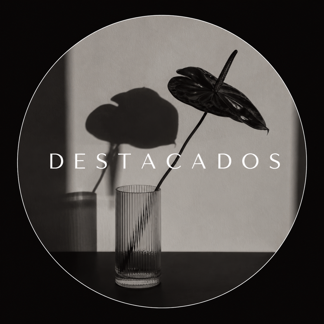 Destacados