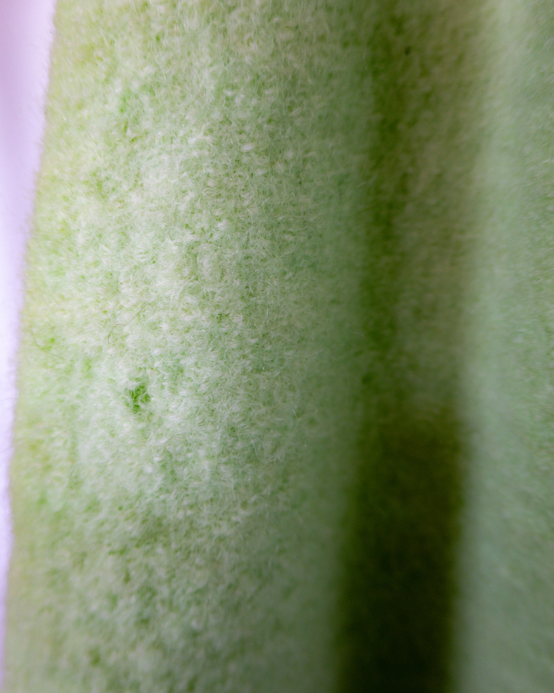 Cardigan Mint Fuzzy  – Appleseed’s - La Reversa